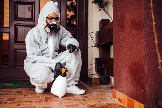 Reliable Bed Bug Control contractor in Bryans Road, MD by Nex Pest Control